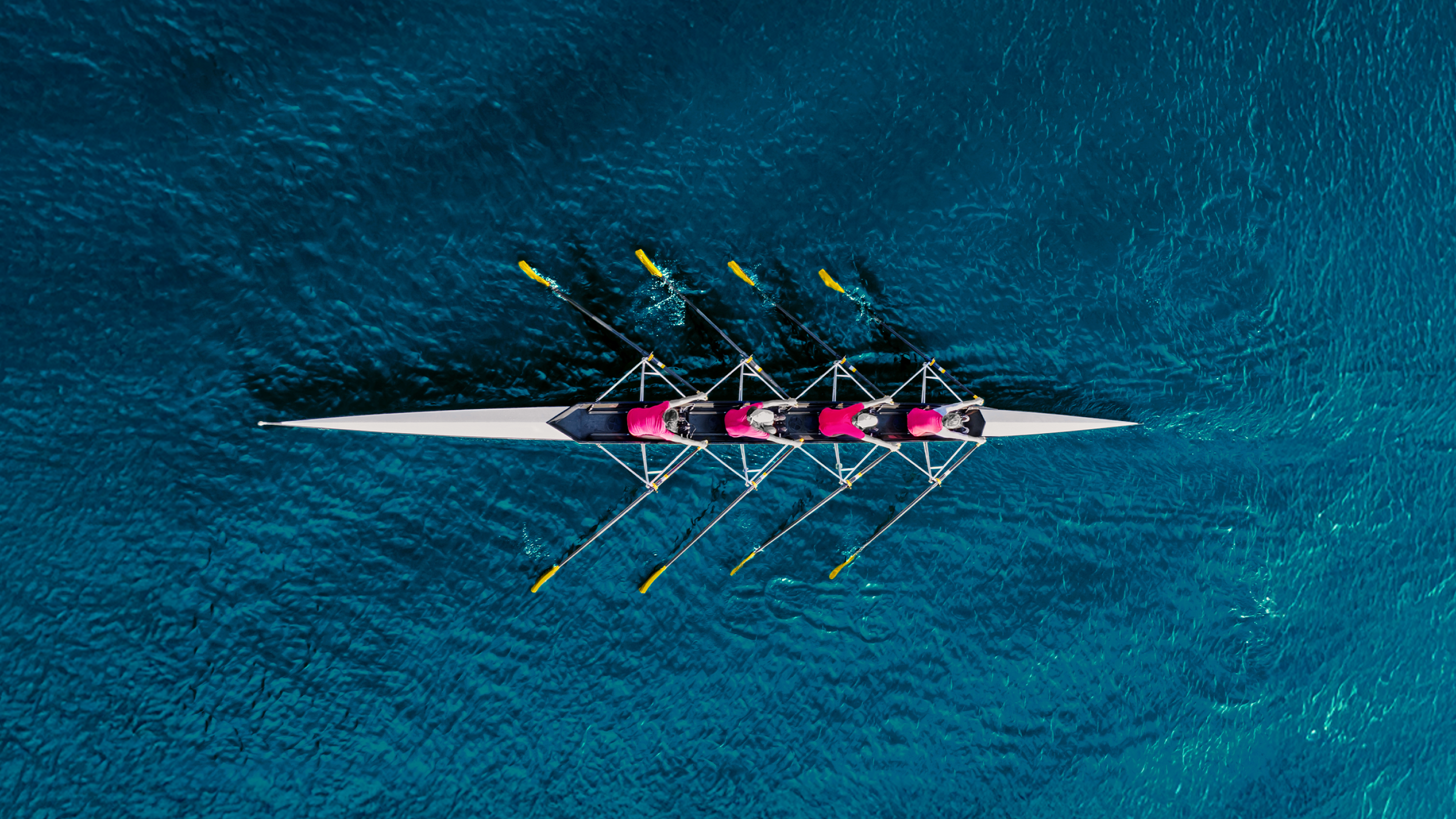 aerial view of rowing crew